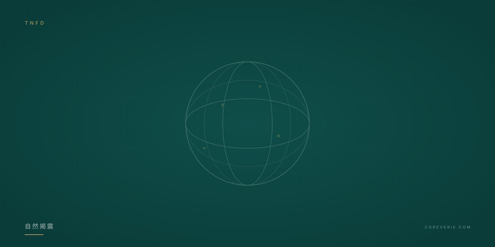 TNFD 自然相關財務揭露框架示意圖
